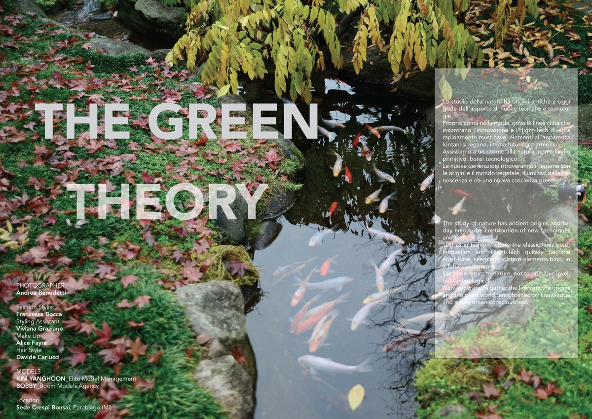 THE GREEN THEORY